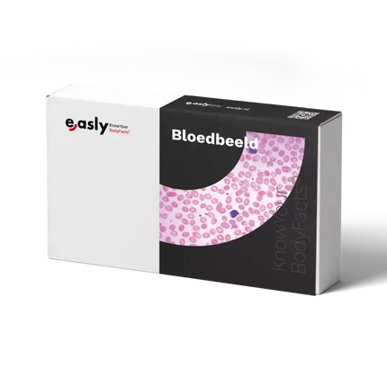 Bloedbeeld Zelftest Easly