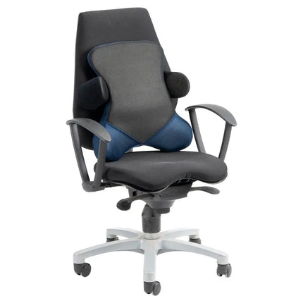 Deluxe back cushion