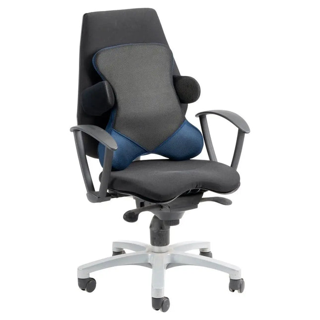 Deluxe back cushion